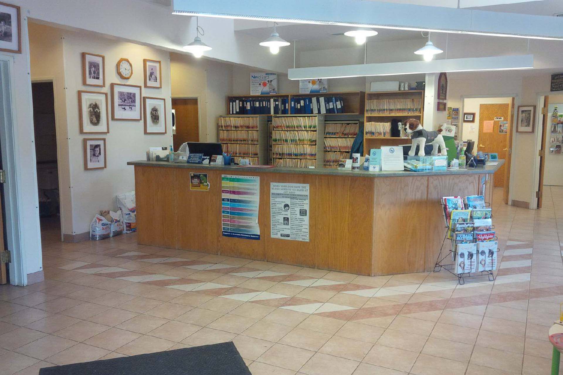 Claremont Animal Hospital Tour Vet In Claremont, NH 03743