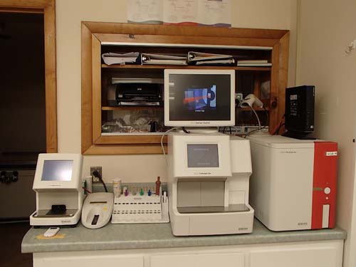 Claremont Animal Hospital lab testing area