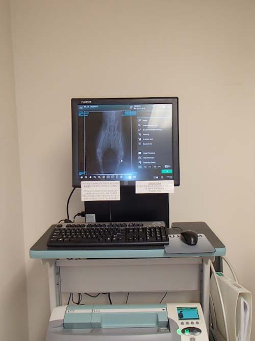 Claremont Animal Hospital ultrasound machine