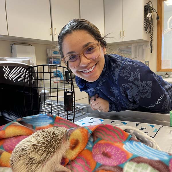 Claremont Animal Hospital team with a hedgehog