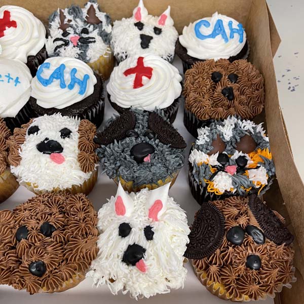 Claremont Animal Hospital puppy cupcakes