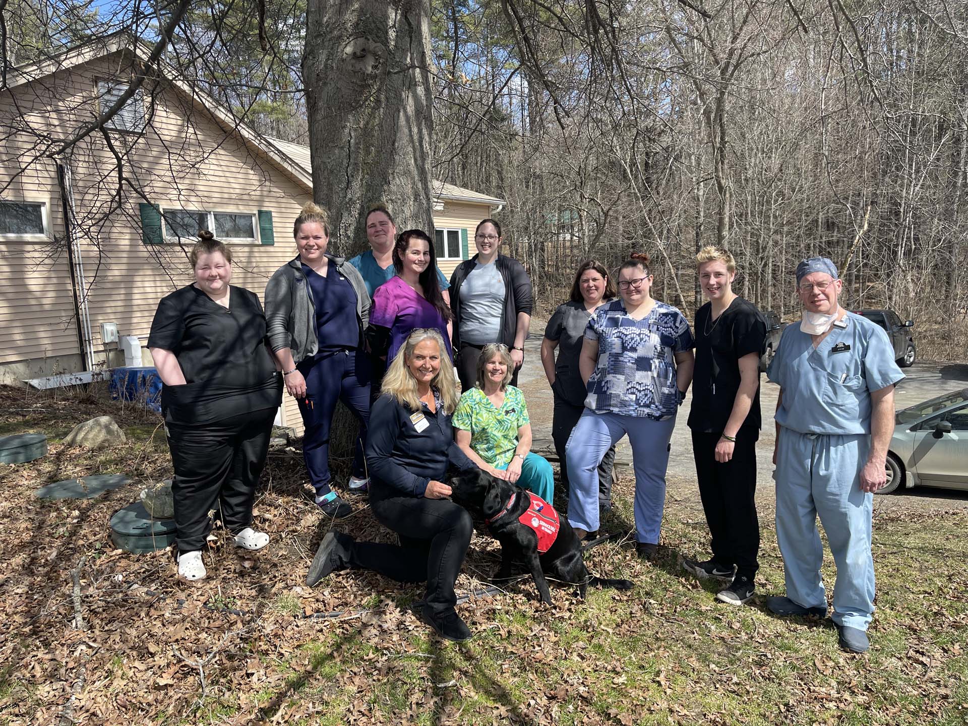 Veterinarian In Claremont, NH Claremont Animal Hospital