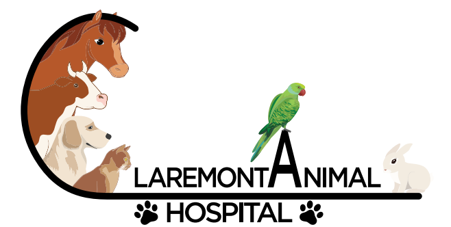 Claremont Animal Hospital